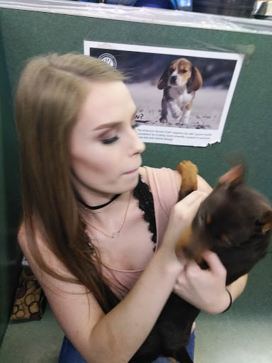 Pet Store «Petland Montgomery», reviews and photos, 7127 Eastchase Pkwy, Montgomery, AL 36117, USA