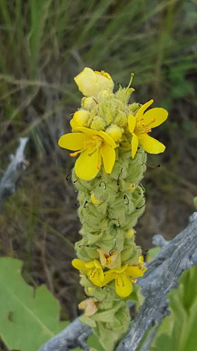 State Park «Cheyenne Mountain State Park», reviews and photos, 410 JL Ranch Heights Rd, Colorado Springs, CO 80926, USA