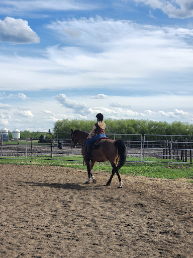 Horse rental service Edmonton