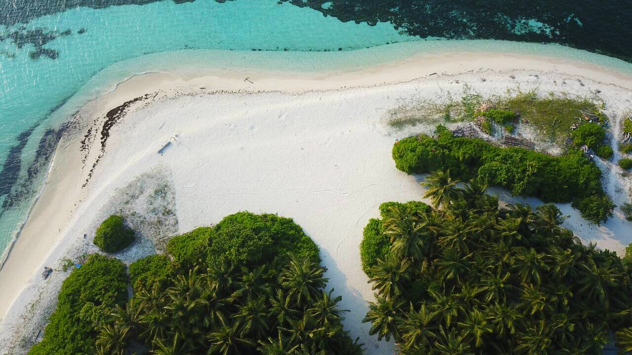 Zdjęcie Bahamas Beach z proste i długie