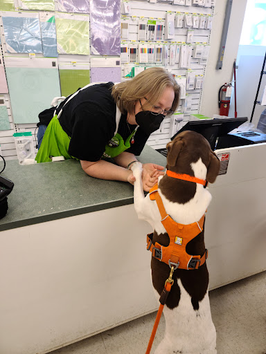 Fabric Store «Jo-Ann Fabrics and Crafts», reviews and photos, 429 Scranton Carbondale Hwy, Scranton, PA 18508, USA