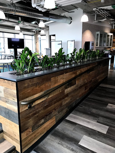 Florist «Red Square Flowers», reviews and photos, 337 W Mifflin St, Madison, WI 53703, USA