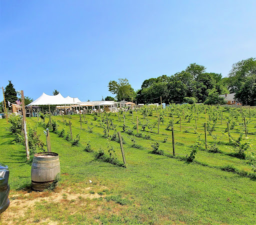 Winery «Cape Cod Winery», reviews and photos, 4 Oxbow Rd, East Falmouth, MA 02536, USA