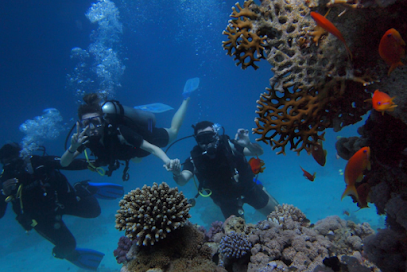 Try Scuba Diving - Key West