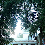 Photo n°5 de l'avis de Antonella.i fait le 25/06/2017 à 06:53 sur le  Hotel Ristorante S'Enis Monte Maccione à Oliena