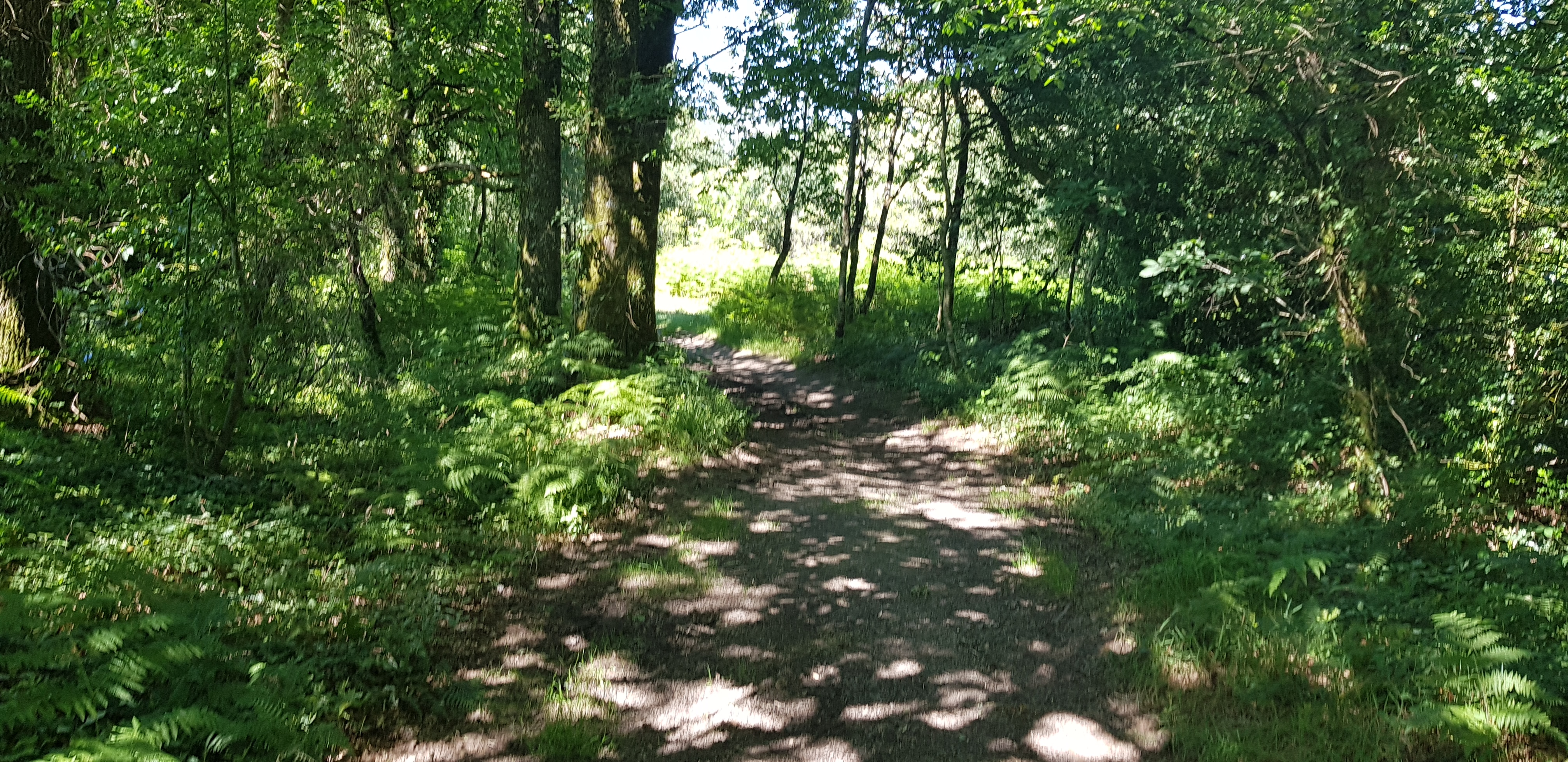 Photo n° 4 de l'avis de Raphael.r fait le 22/06/2018 à 18:50
