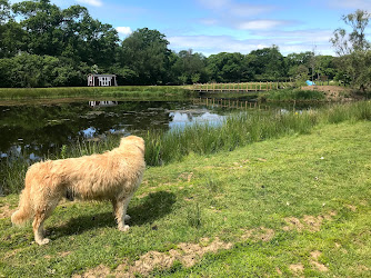 South Wales Equine Vets - Cardiff