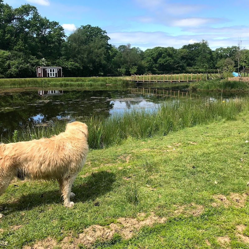 South Wales Equine Vets - Cardiff