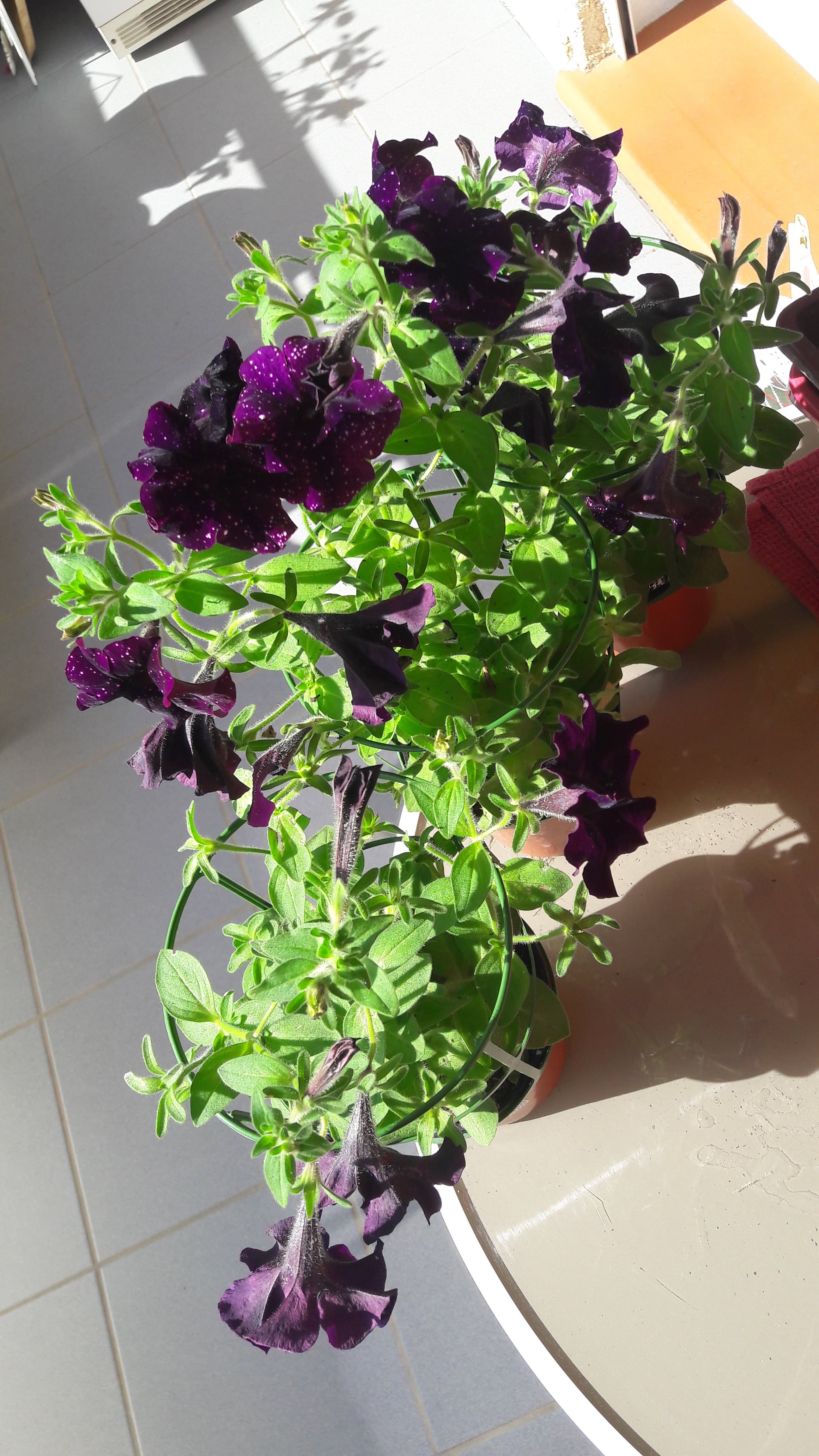 Photo n° 12 de l'avis de emmanuelle. fait le 04/06/2019 à 11:40