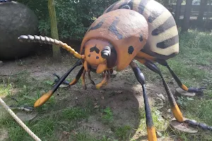 Giant Insect Park image