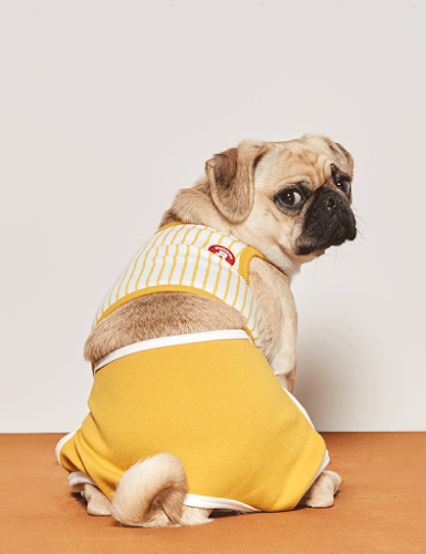 CreatureLand. - Shop