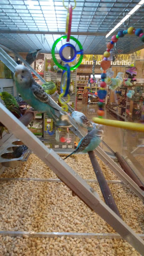 Pet Store «PetSmart», reviews and photos, 3152 Phoenix Center Dr, Washington, MO 63090, USA