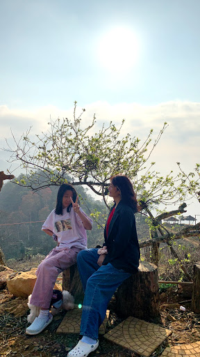 Top 20 cửa hàng ainosofia Huyện Mai Châu Hòa Bình 2022