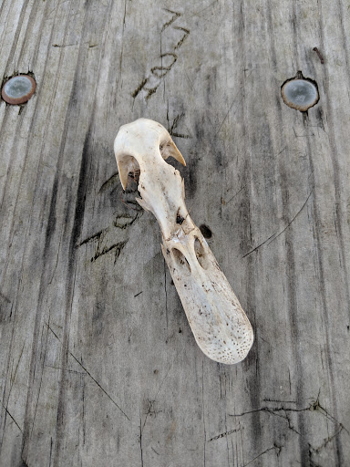 Museum «Dossin Great Lakes Museum», reviews and photos, 100 The Strand, Detroit, MI 48207, USA