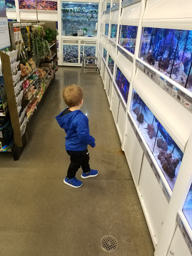 Pet Supply Store «Petco Animal Supplies», reviews and photos, 2687 Countryside Dr, Turlock, CA 95380, USA