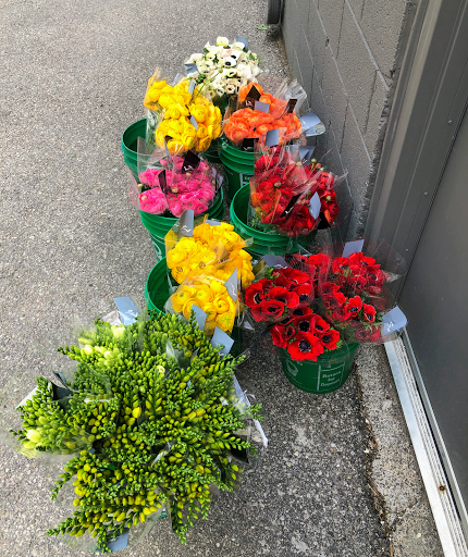 Cheap flower shops in Toronto
