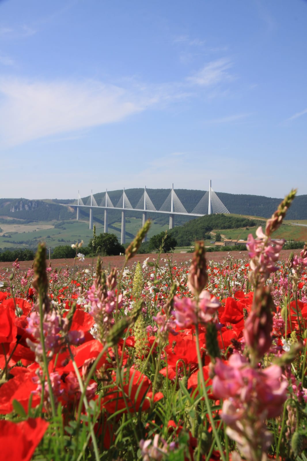 Photo n° 2 de l'avis de georges.e fait le 21/06/2021 à 12:57