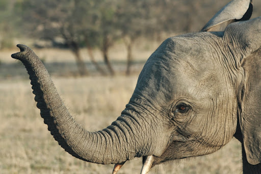 Travel Agency «Cruise & World Travel», reviews and photos, 1875 Post Rd, Fairfield, CT 06824, USA