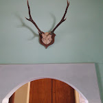 Photo n°13 de l'avis de Lidia.t fait le 06/09/2021 à 19:46 sur le  Circolo ARCI Bastia à Ravenna