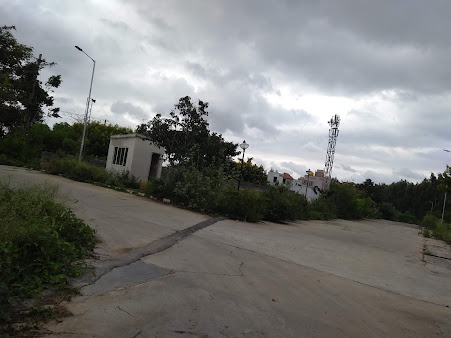 Google Maps image 19