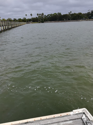 Park «Josiah Cephus Weaver Park», reviews and photos, 1258 Bayshore Blvd, Dunedin, FL 34698, USA