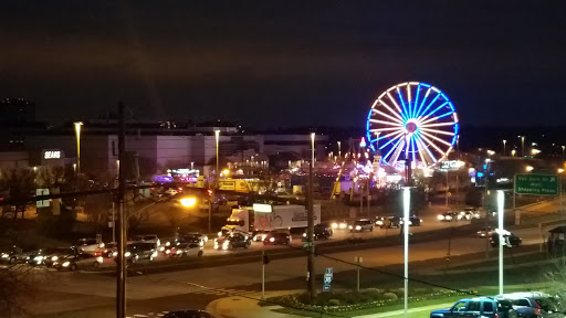 Discount Store «Big Lots», reviews and photos, 5901 Stevenson Ave, Alexandria, VA 22304, USA