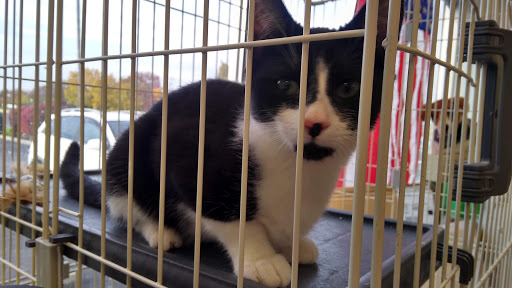 Pet Supply Store «Concord Pet Foods & Supplies», reviews and photos, 318 Village Center Dr, Logan Township, NJ 08085, USA