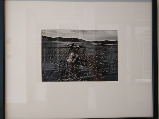 Art Gallery «CEPA Gallery», reviews and photos, 617 Main St #201, Buffalo, NY 14203, USA