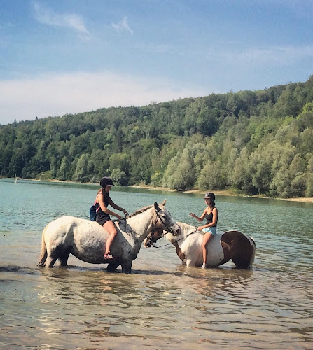 LES CRINIERES DU LAC à La Tour-du-Meix