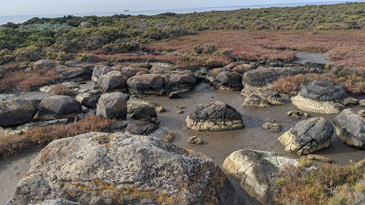 Jawbone Flora and Fauna Reserve