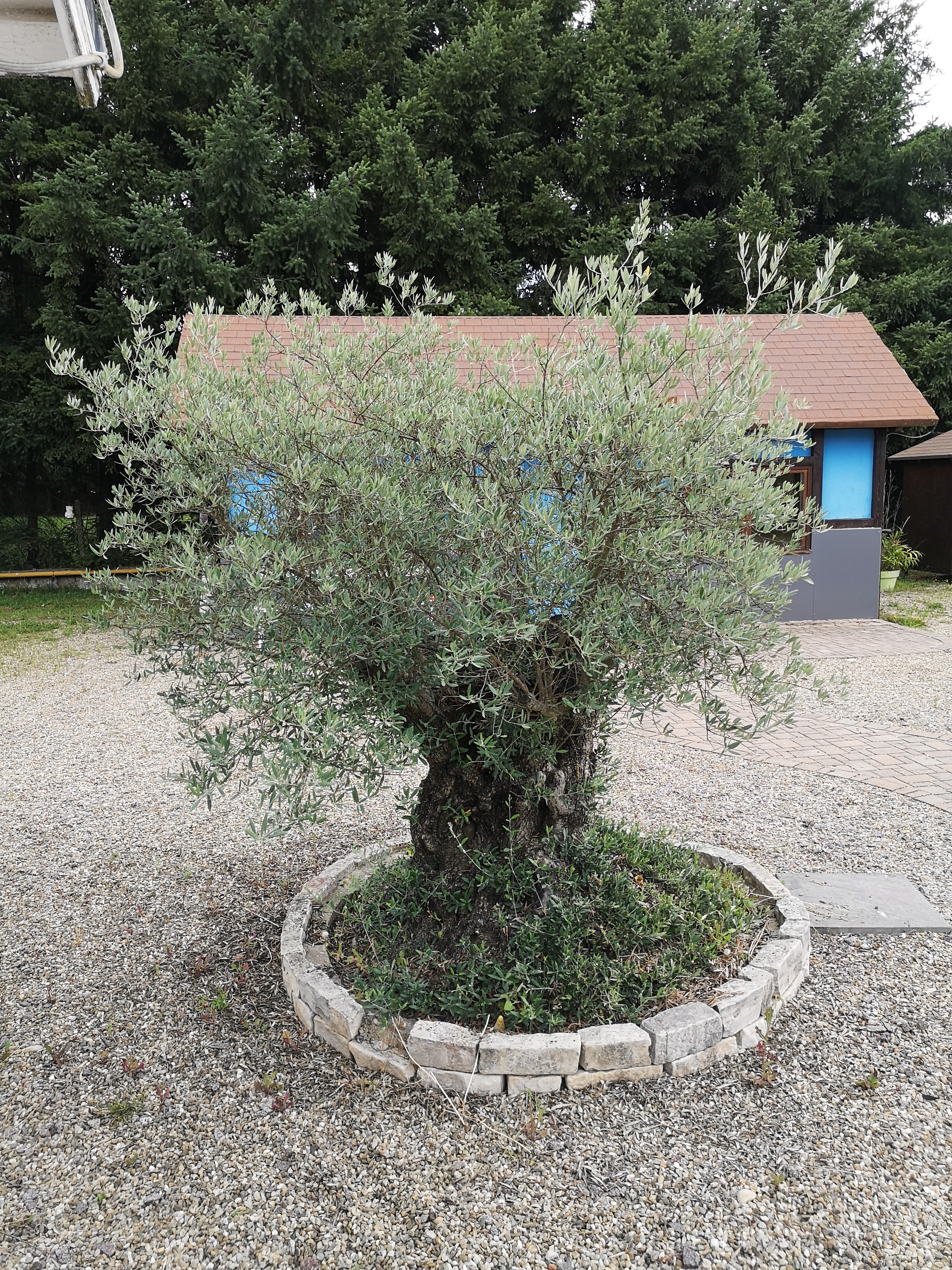 Photo n° 11 de l'avis de Bogdan.a fait le 07/07/2022 à 15:40
