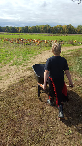 Produce Market «Rush Vegetables», reviews and photos, 2120 Eagle Harbor Waterport Rd, Albion, NY 14411, USA