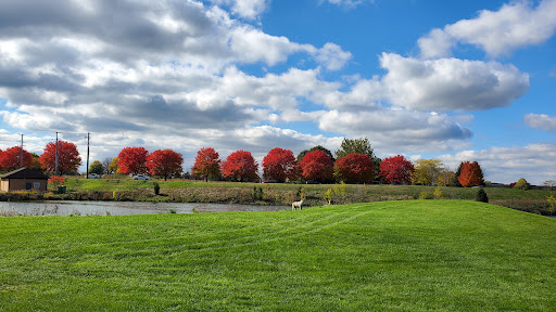 Golf Course «The Highlands of Elgin Golf Course», reviews and photos, 875 Sports Way, Elgin, IL 60123, USA