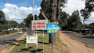 Food Agricultural Organization Fao Kapenguria