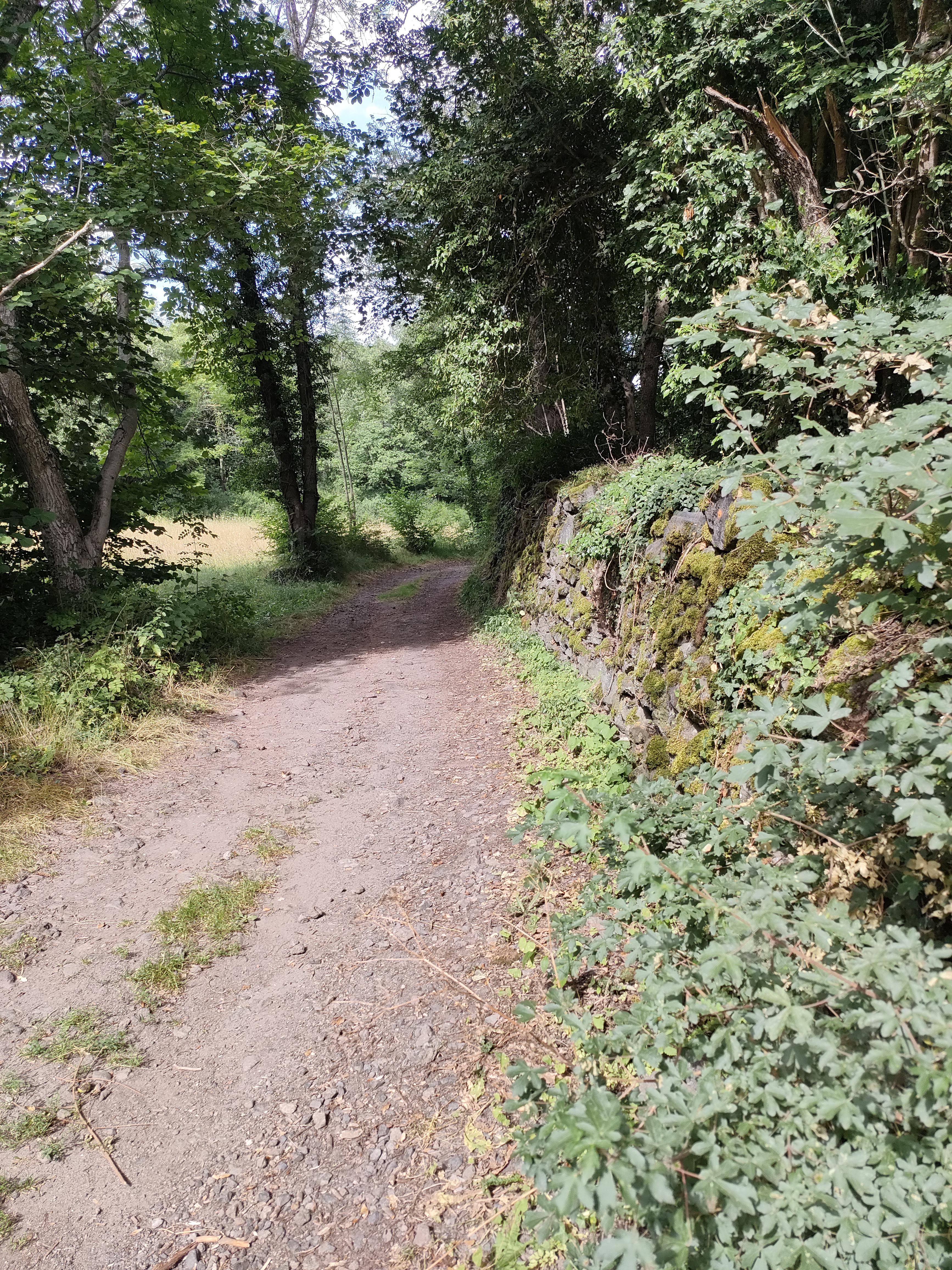 Photo n° 1 de l'avis de Soledad. fait le 18/07/2023 à 16:49