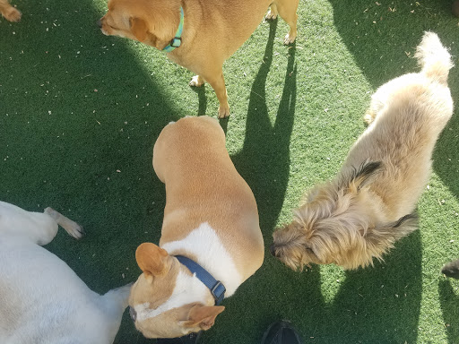 Kennel «Old Farm Pet Resort», reviews and photos, 3968 S 200 E, Salt Lake City, UT 84107, USA