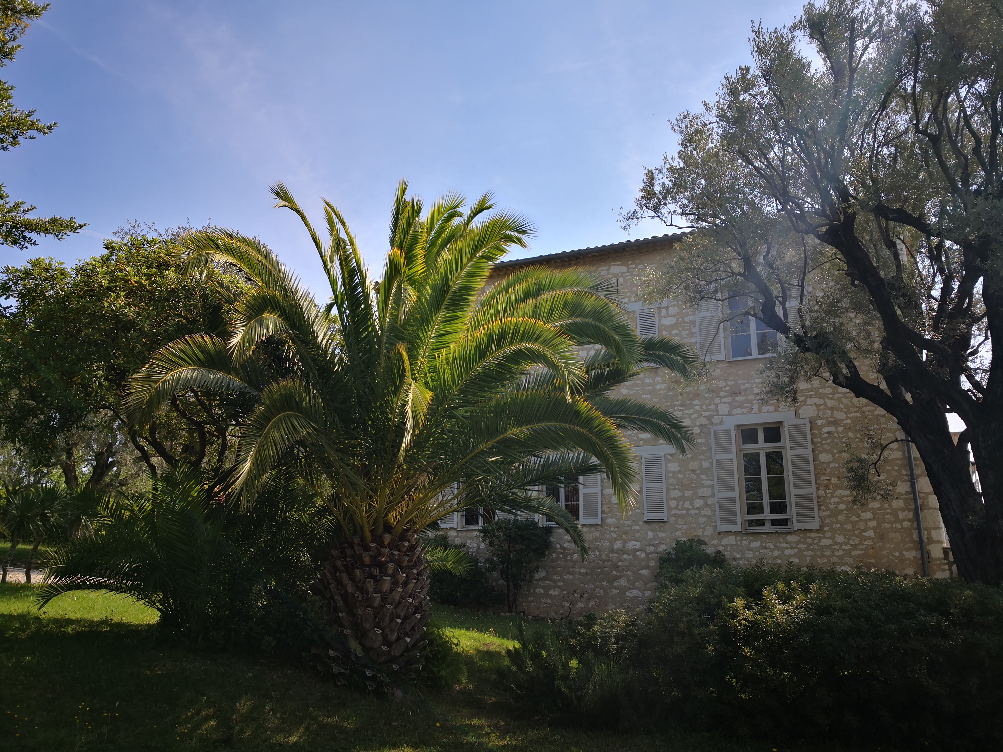 Photo n° 3 de l'avis de ST. fait le 20/04/2019 à 12:54