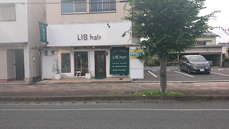 LIB hair