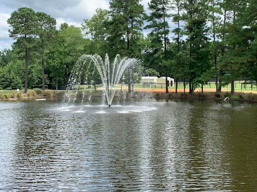 Triangle Pond Management