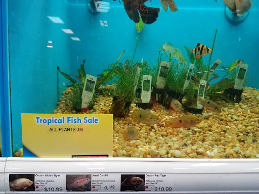 Pet Supply Store «Pet Supermarket», reviews and photos, 608 Montgomery Hwy, Vestavia Hills, AL 35216, USA