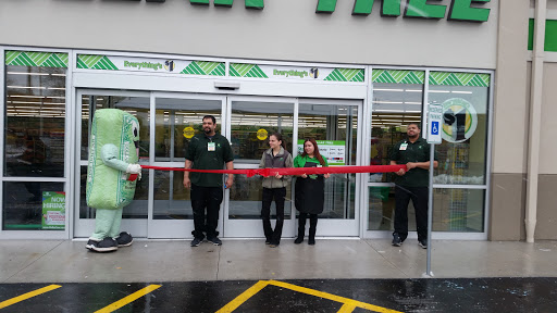 Dollar Store «Dollar Tree», reviews and photos, 383 Allen St, Springfield, MA 01118, USA