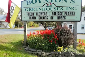 Boynton's Greenhouses, Inc. image