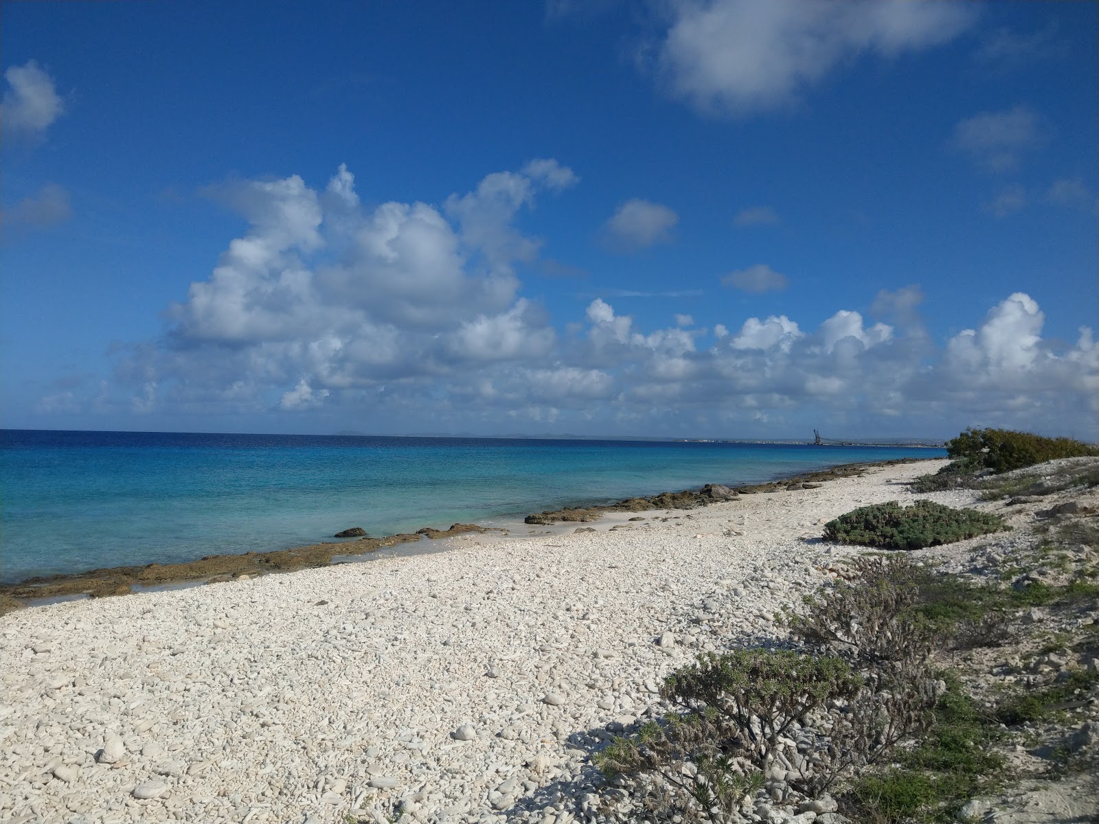 Pink Beach Bonaire的照片 带有长直海岸