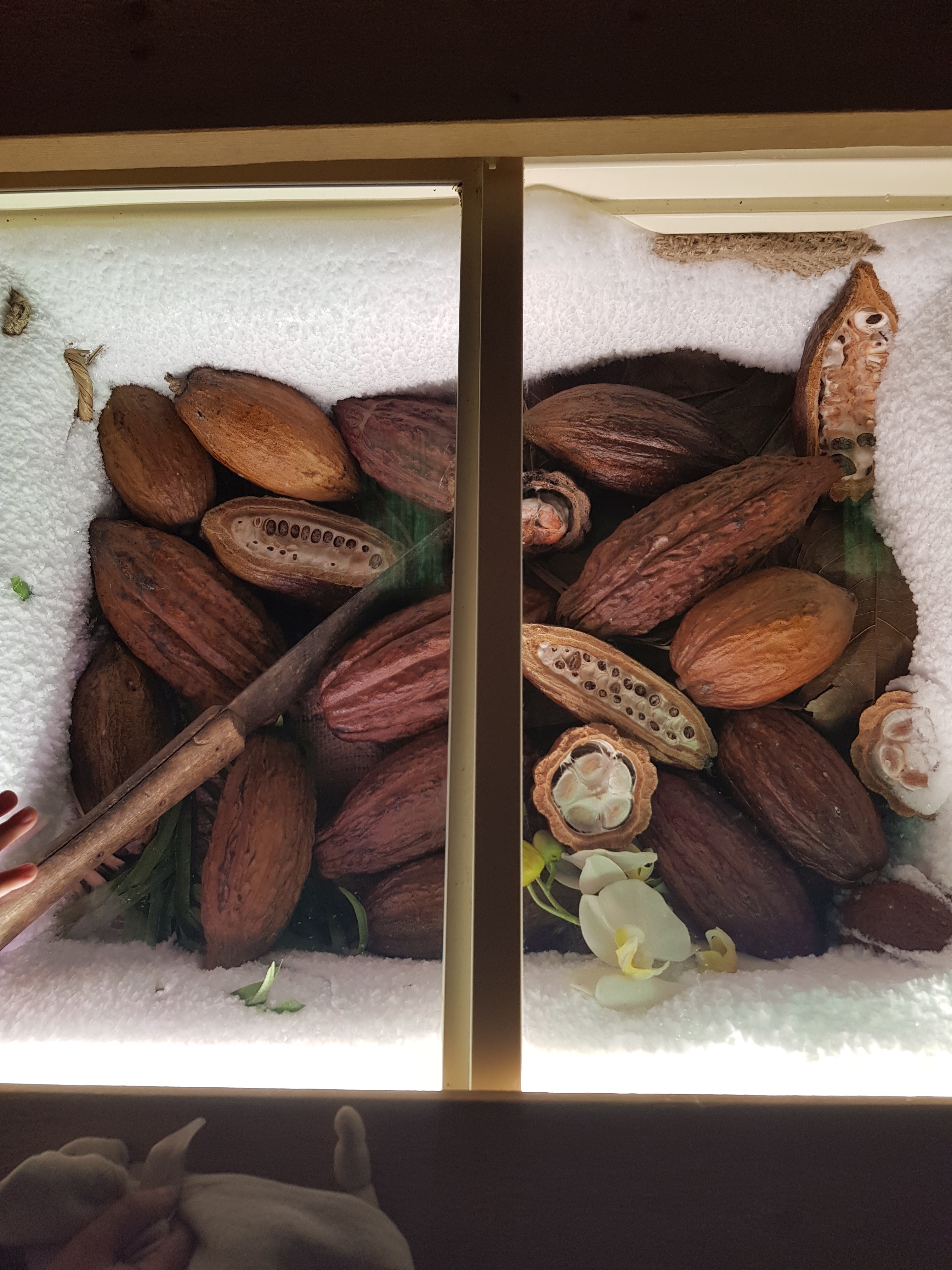 Photo n° 1 de l'avis de stephanie.a fait le 16/08/2019 à 23:05
