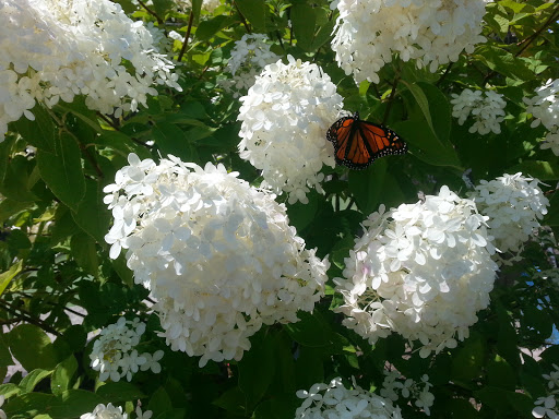 Amusement Center «The Castle Fun Center», reviews and photos, 109 Brookside Ave, Chester, NY 10918, USA
