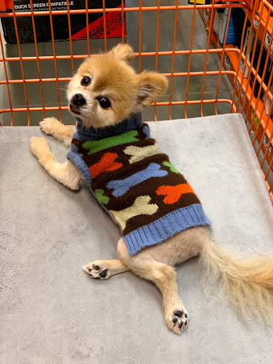 Home Improvement Store «The Home Depot», reviews and photos, 1200 Home Depot Blvd, Sunset Valley, TX 78745, USA