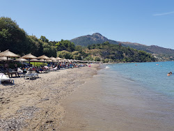 Porto Zorro Beach'in fotoğrafı kısmen tatil bölgesi