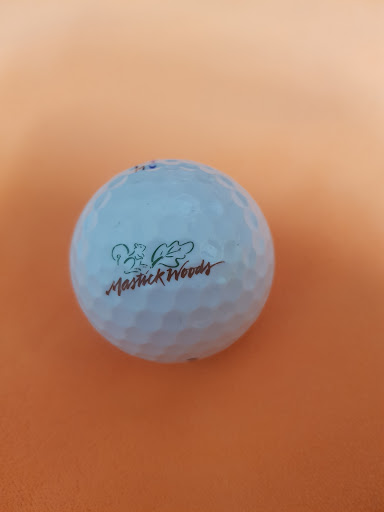 Golf Course «Mastick Woods Golf Course», reviews and photos, 19900 Puritas Ave, Cleveland, OH 44135, USA