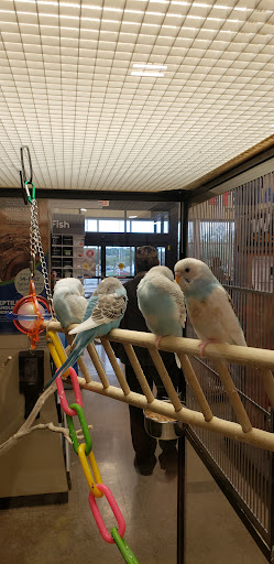 Pet Supply Store «PetSmart», reviews and photos, 2801 Pine Lake Rd, Lincoln, NE 68516, USA