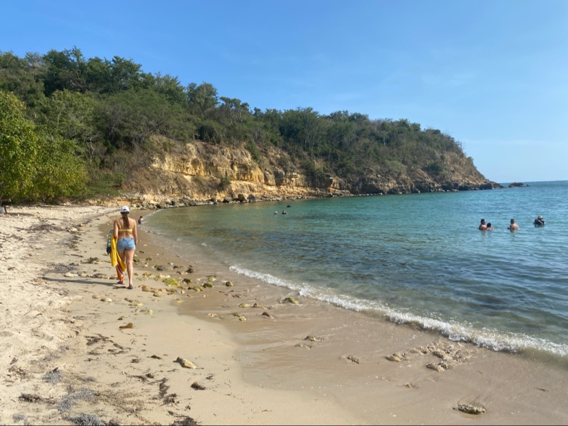 Φωτογραφία του Playa Jaboncillo με επίπεδο καθαριότητας εν μέρει καθαρό